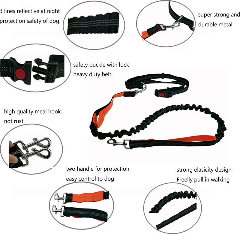 Reflective Dog Jogging Leash