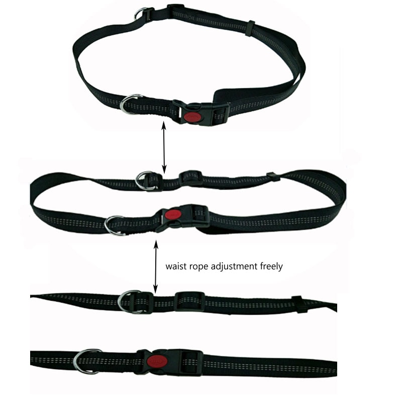 Reflective Dog Jogging Leash