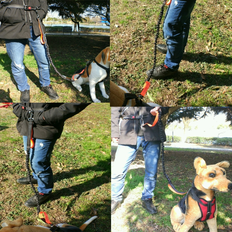 Reflective Dog Jogging Leash
