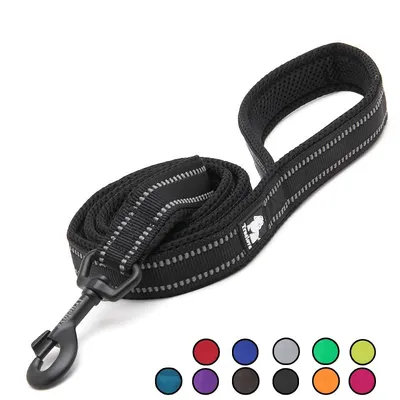 Reflective Dog Leash with Mesh Padding