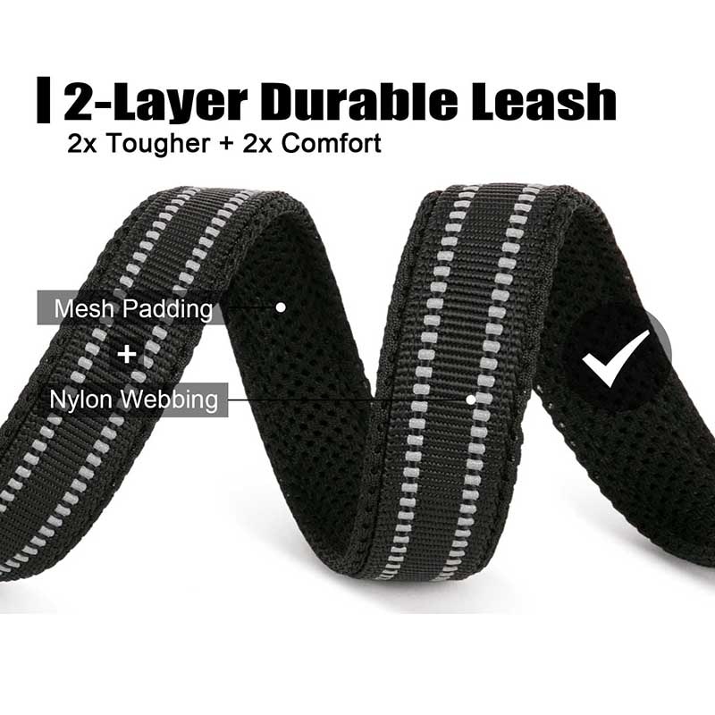 Reflective Dog Leash with Mesh Padding