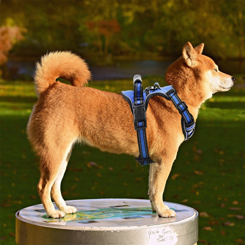 Reflective Dog Vest No Pull Harness
