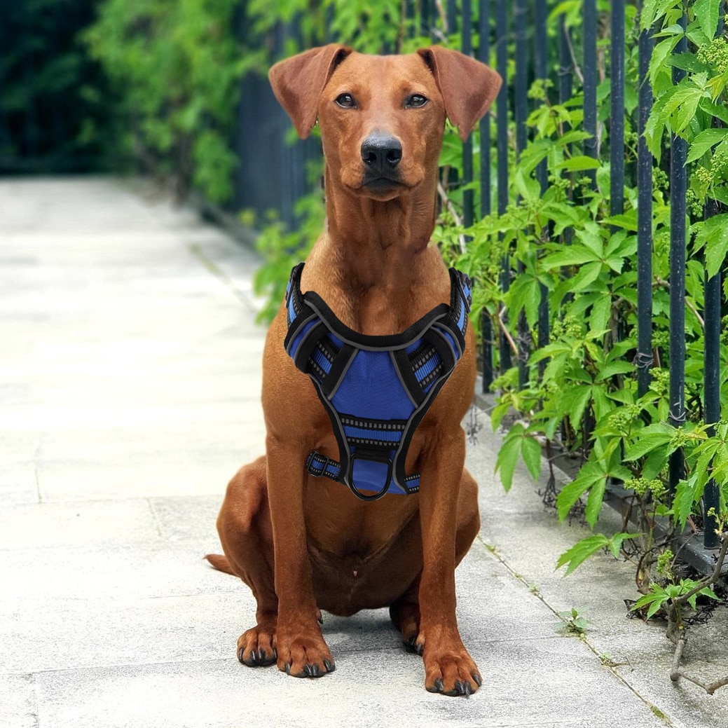 Reflective Dog Vest No Pull Harness