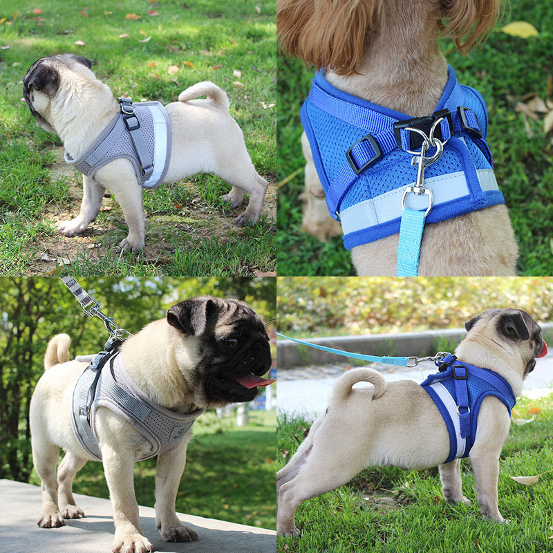 Reflective Safety Pet Dog Harness and Leash Set for Small Medium Dogs Cat Harnesses Vest Puppy Chest Strap Pug