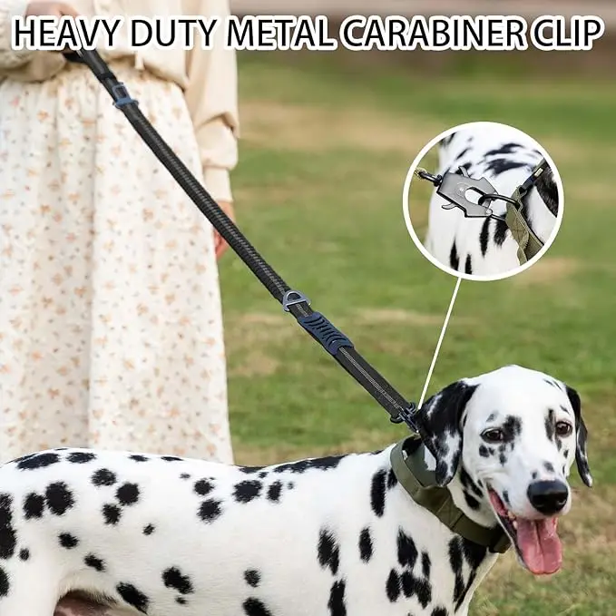 Reflective Shock Absorbing Pet Leashes with Car Seatbelt for Large Dogs Heavy Duty Tactical Bungee Dog Leash No Pull Reflective Shock Absorbing Pet Leashes with Car Seatbelt for Large Dogs Heavy Duty Tactical Bungee Dog Leash No Pull