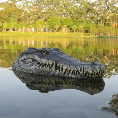 Remote Control Alligator Head Water Toy Remote Control Alligator Head Water Toy
