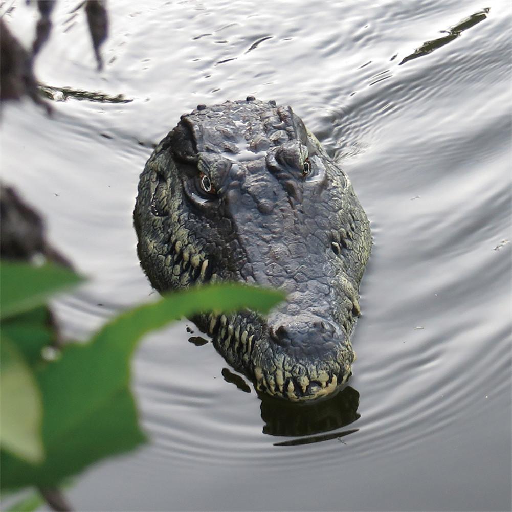Remote Control Alligator Head Water Toy Remote Control Alligator Head Water Toy