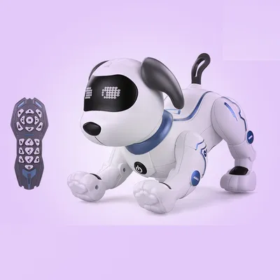Remote Control Dog Kid's Toys
