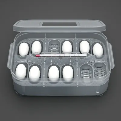Reptile Egg Incubator 12-Slot Box Reptile Egg Incubator 12-Slot Box