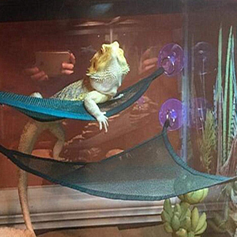 Reptile Hammock Lounger Ladder (2 pcs) Reptile Hammock Lounger Ladder (2 pcs)