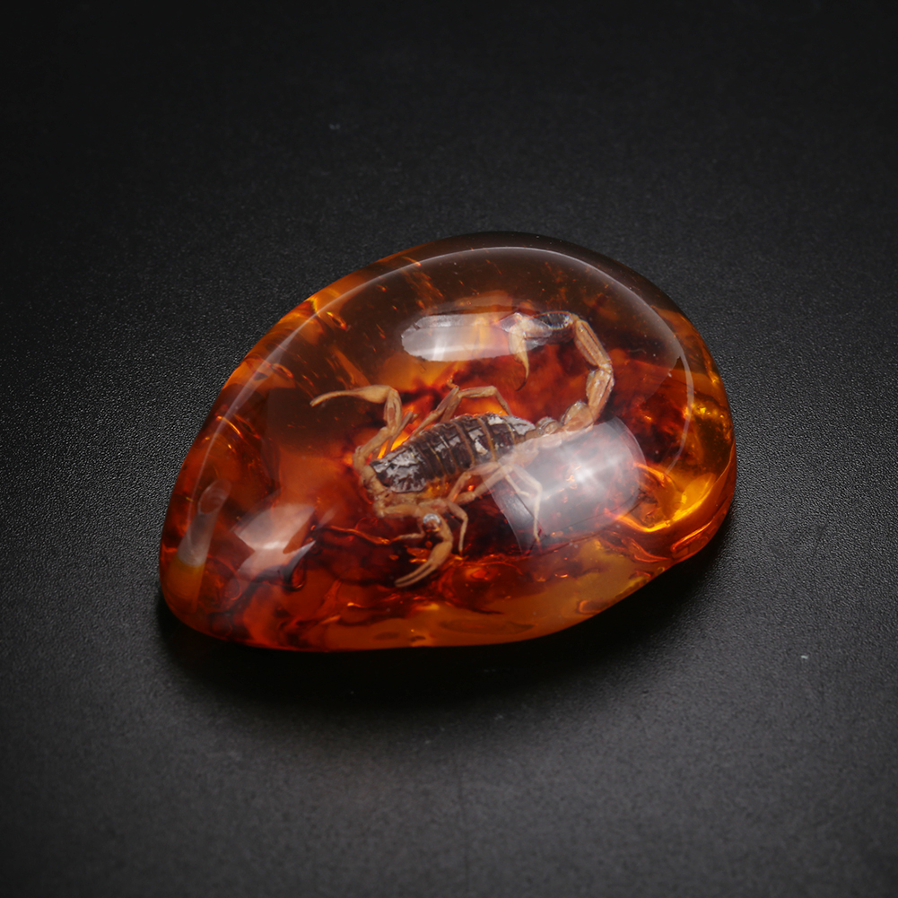 Resin Amber Pendant with Insect