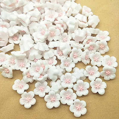 Resin Flowers DIY Accessories (100pcs) Resin Flowers DIY Accessories (100pcs)