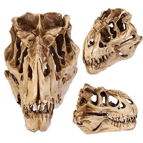 Resin Fossil Dinosaur Skull Decor Resin Fossil Dinosaur Skull Decor