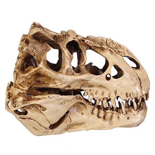 Resin Fossil Dinosaur Skull Decor