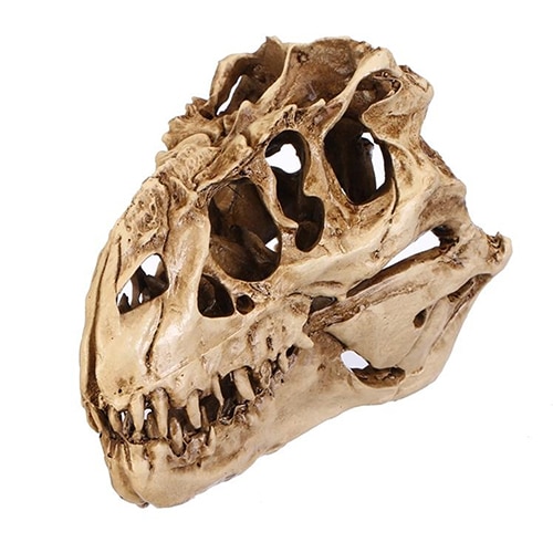 Resin Fossil Dinosaur Skull Decor