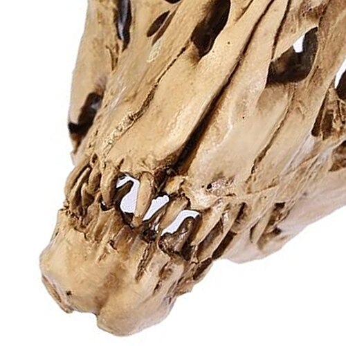 Resin Fossil Dinosaur Skull Decor