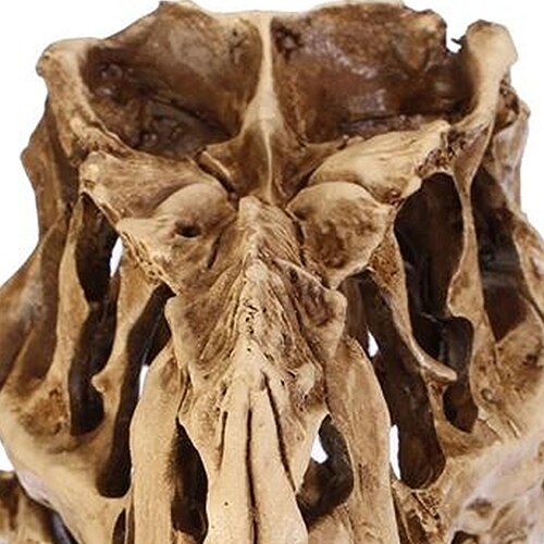 Resin Fossil Dinosaur Skull Decor
