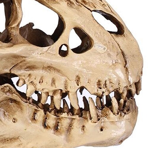 Resin Fossil Dinosaur Skull Decor