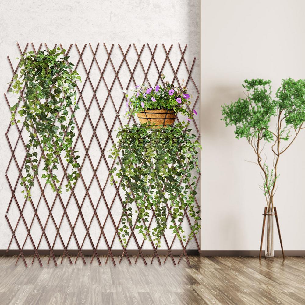 Retractable Wooden Trellis for Climbing Plants