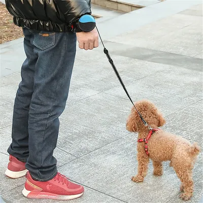 Retractable Wrist Hands Free Leash Retractable Wrist Hands Free Leash