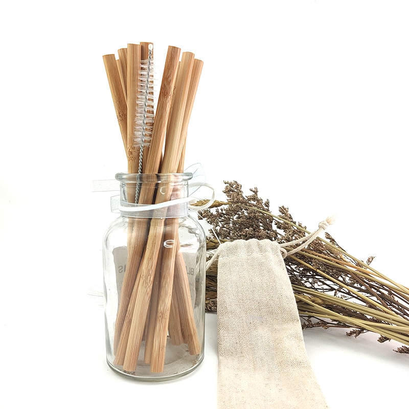 Reusable Bamboo Straws and Straw Brush (10 pcs)