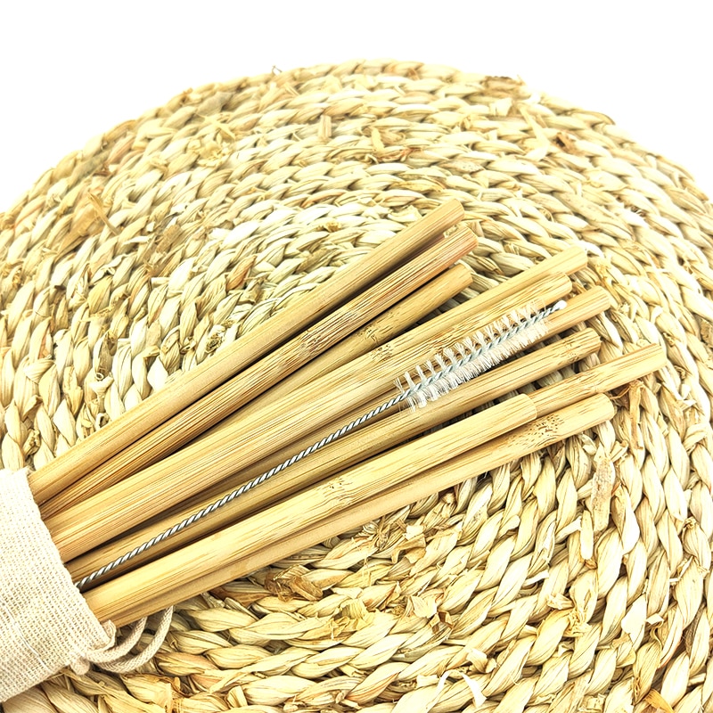 Reusable Bamboo Straws and Straw Brush (10 pcs)