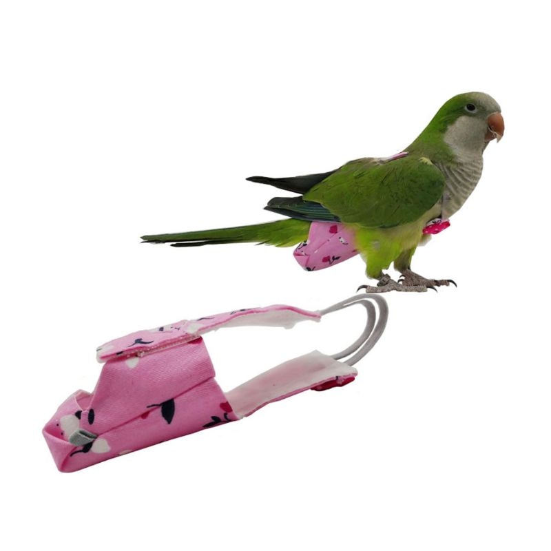 Reusable Parrot Diaper with Bowtie Reusable Parrot Diaper with Bowtie