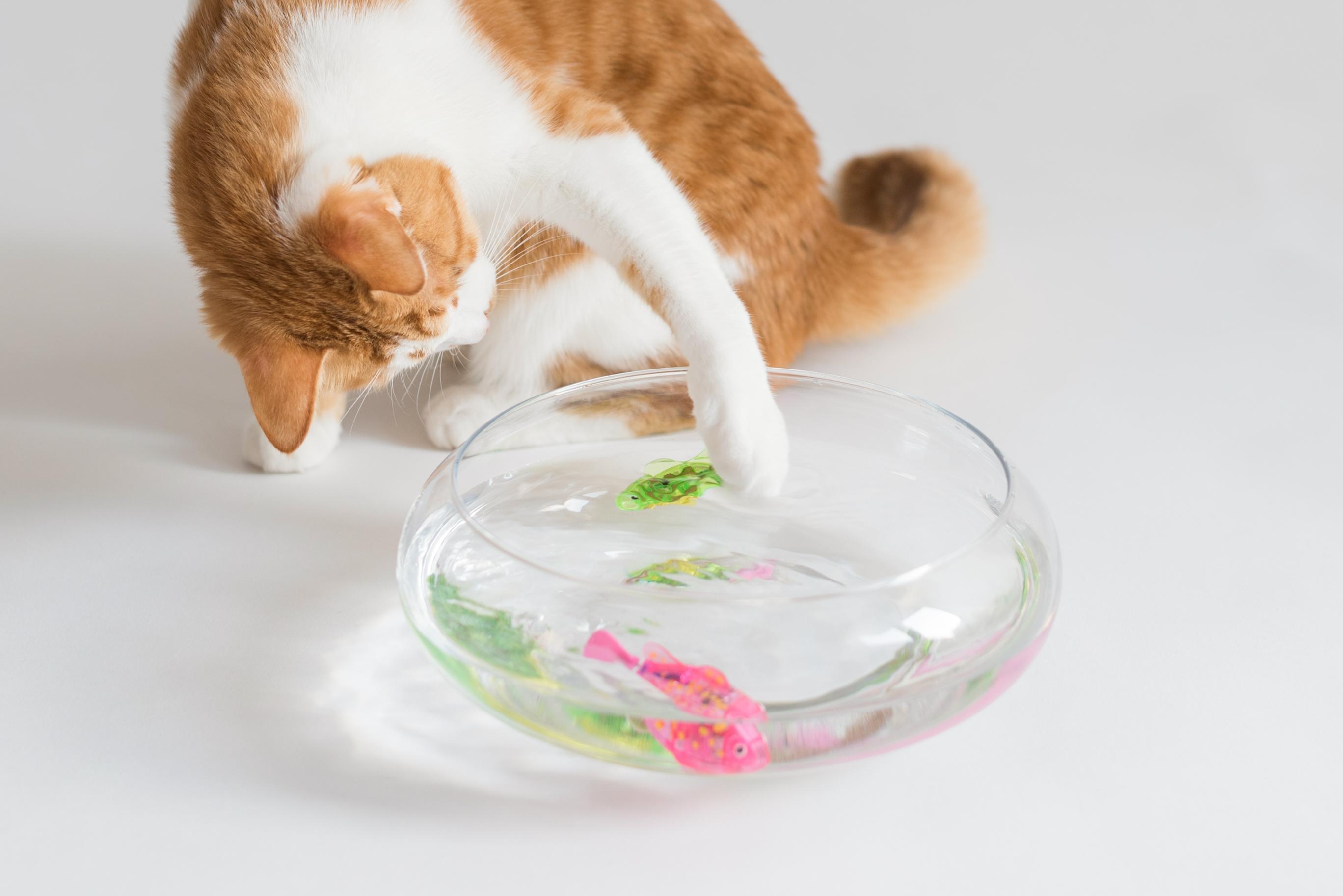 Robot Fish Toy Alternative Kid's Pet Robot Fish Toy Alternative Kid's Pet