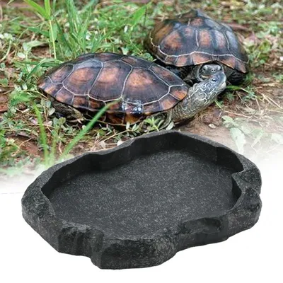 Rock Reptile Water Dish Rock Reptile Water Dish