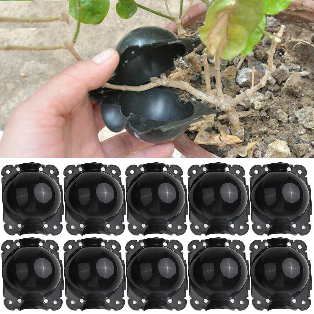 Rooting Plant Propagation Balls (10 pcs)