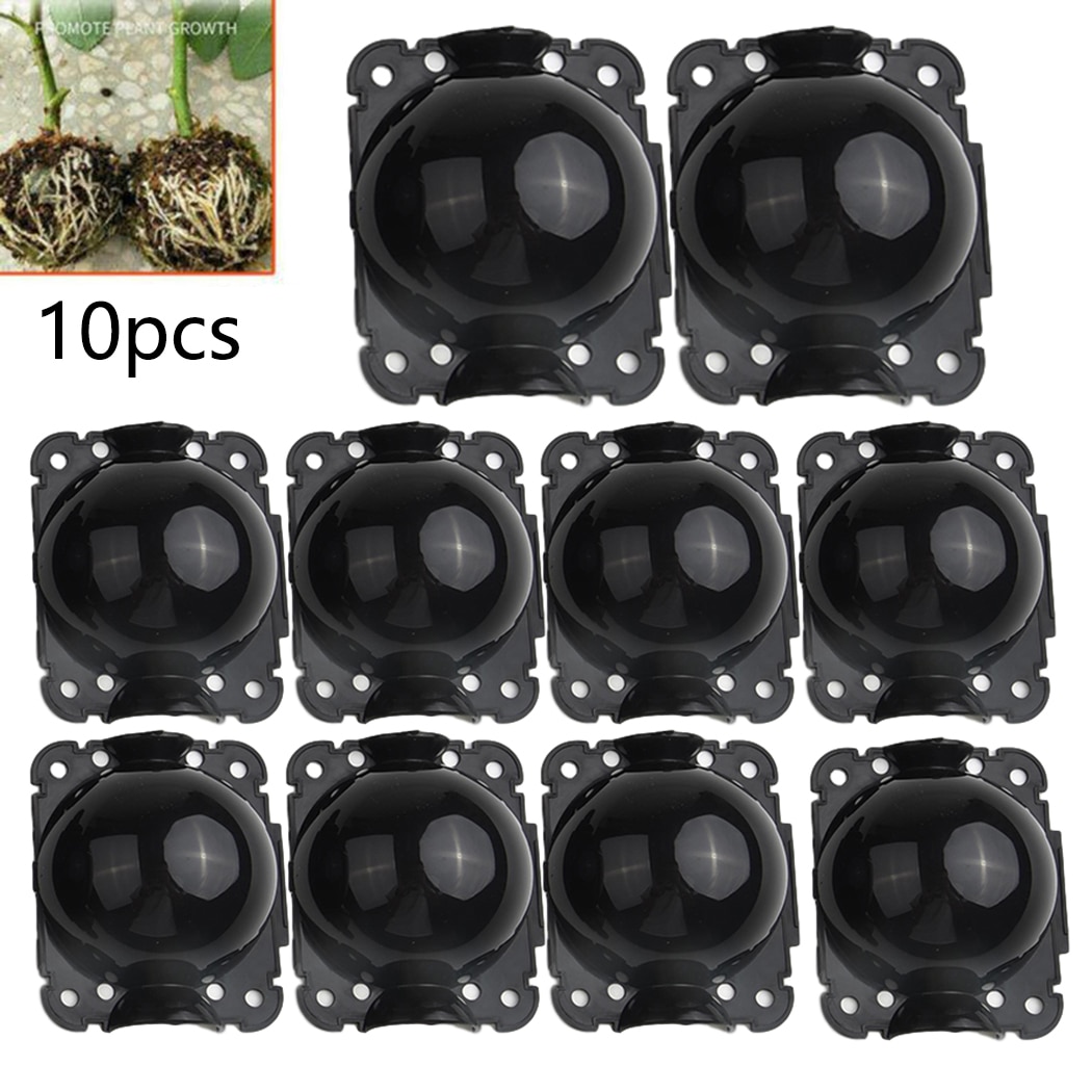 Rooting Plant Propagation Balls (10 pcs)
