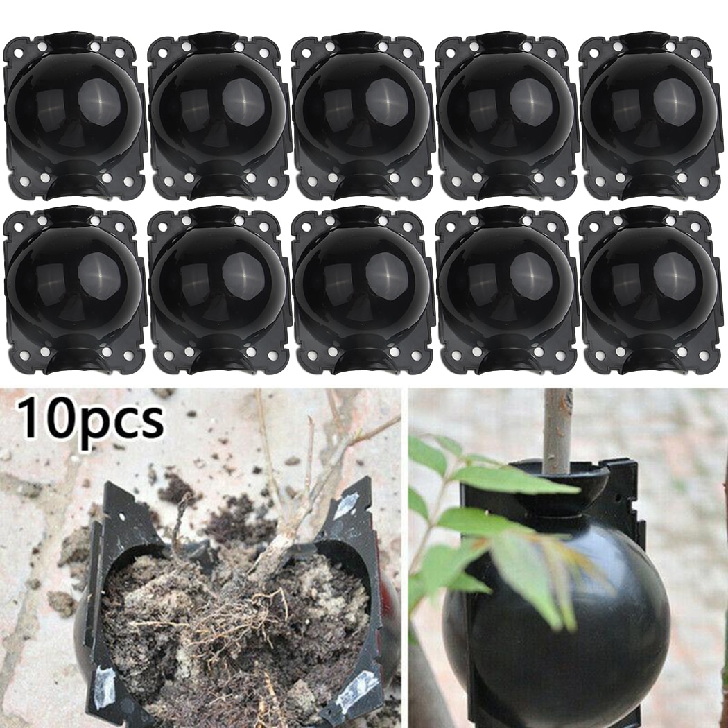 Rooting Plant Propagation Balls (10 pcs)