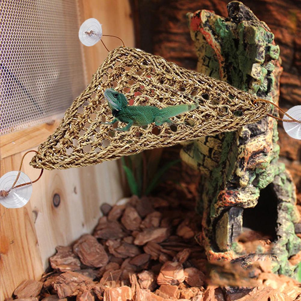 Rope Lizard Lounger with Suction Cups Rope Lizard Lounger with Suction Cups