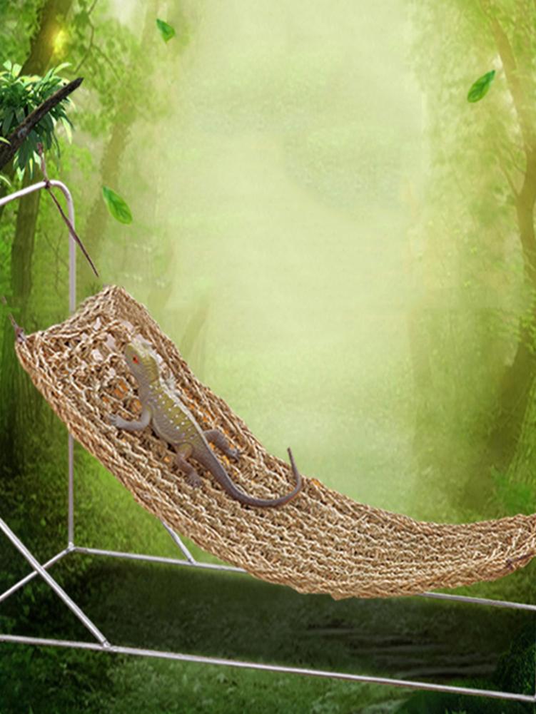 Rope Lizard Lounger with Suction Cups Rope Lizard Lounger with Suction Cups