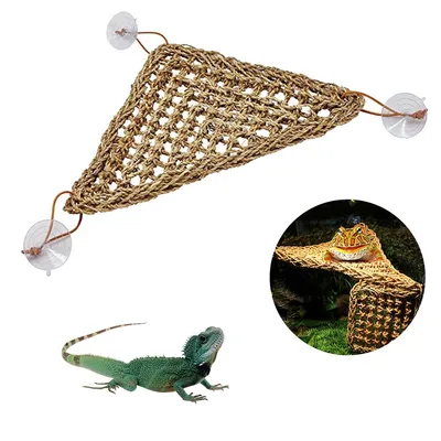 Rope Lizard Lounger with Suction Cups Rope Lizard Lounger with Suction Cups