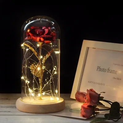 Rose in Glass Dome with Lights Rose in Glass Dome with Lights