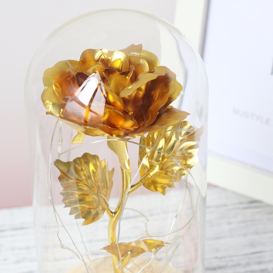 Rose in Glass Dome with Lights Rose in Glass Dome with Lights