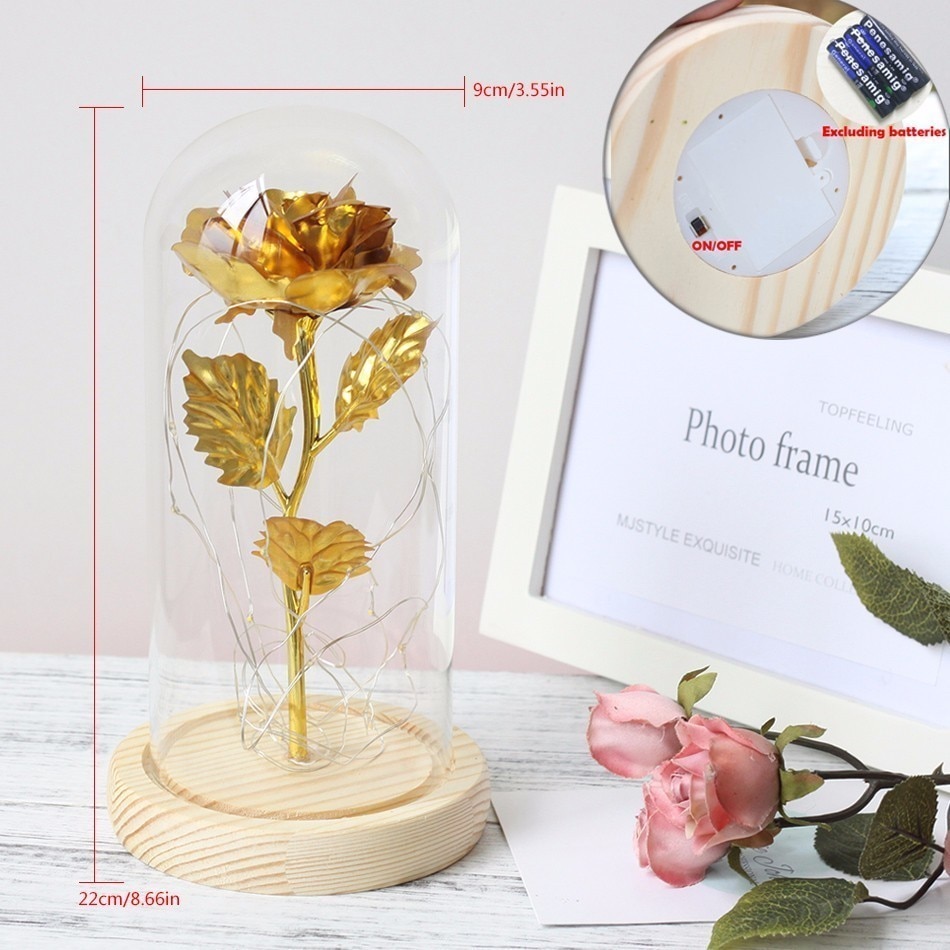 Rose in Glass Dome with Lights Rose in Glass Dome with Lights
