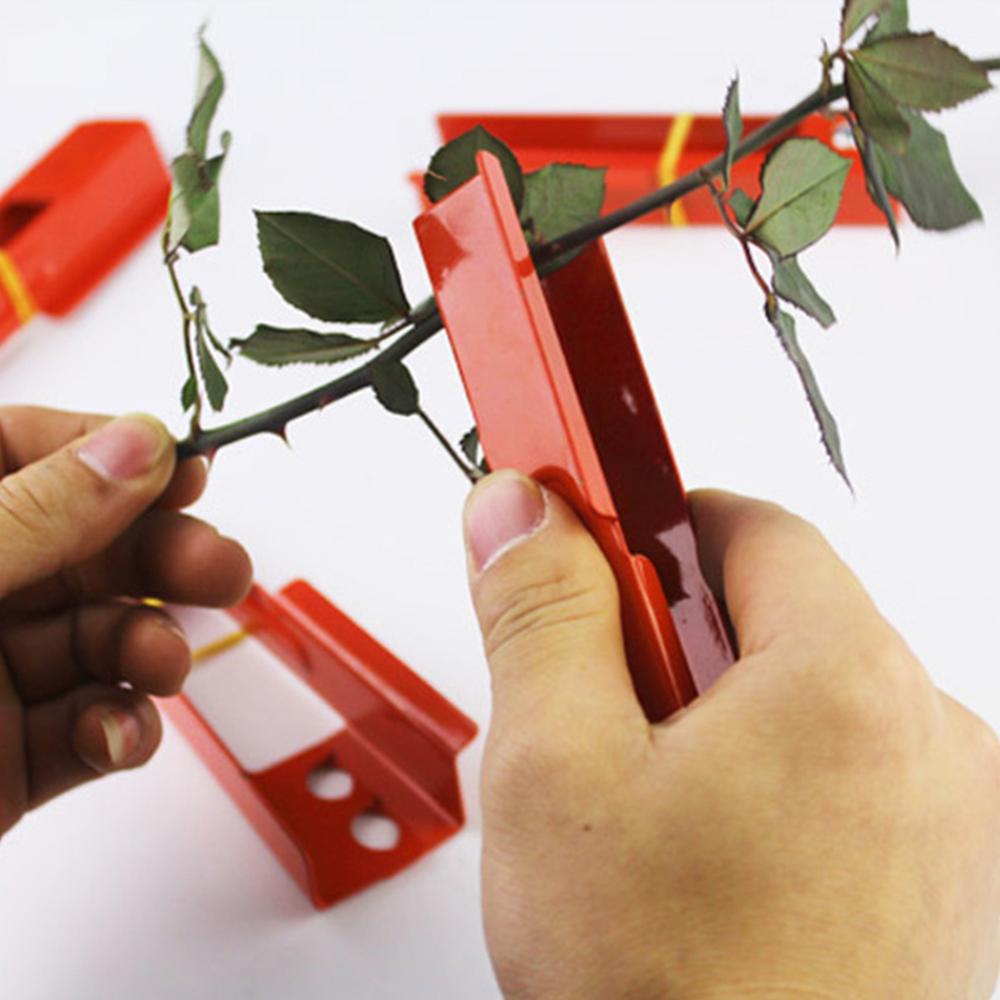 Rose Thorn Remover Gardening Tool