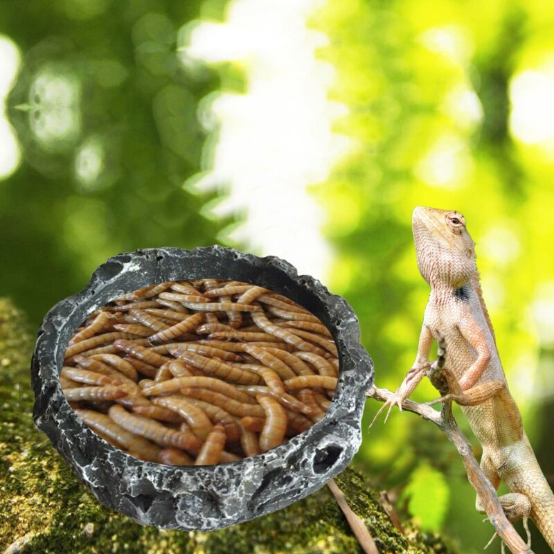 Round Resin Reptile Food Bowl