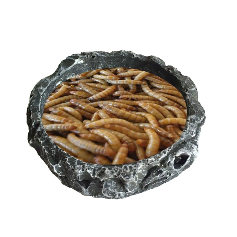 Round Resin Reptile Food Bowl