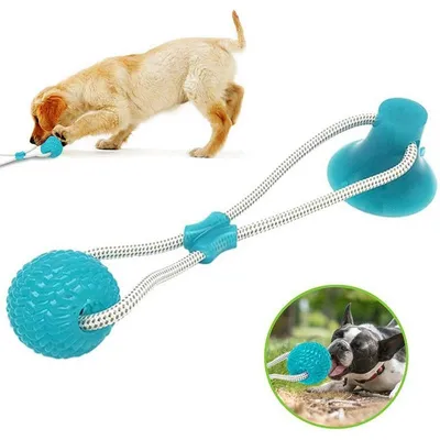 Rubber Ball Suction Cup Dog Toy Rubber Ball Suction Cup Dog Toy