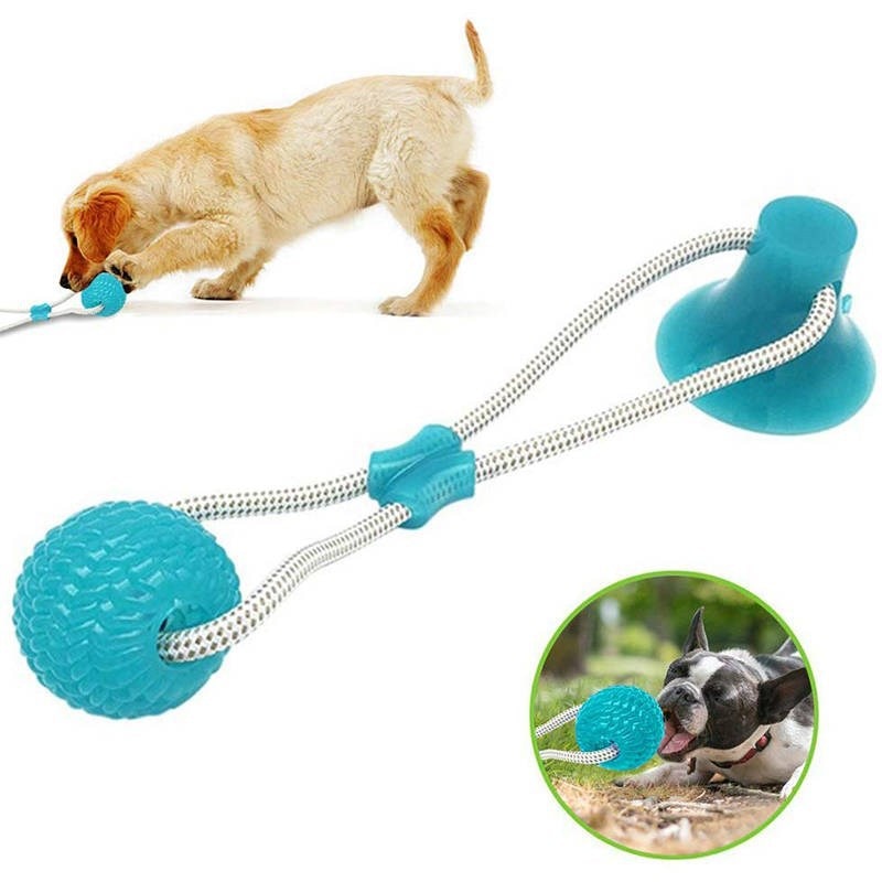Rubber Ball Suction Cup Dog Toy
