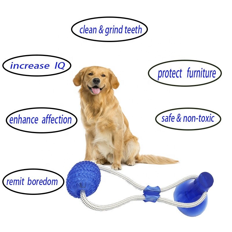 Rubber Ball Suction Cup Dog Toy Rubber Ball Suction Cup Dog Toy