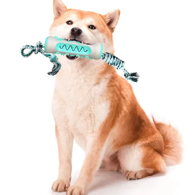 Rubber Dog Chew Toothbrush Rubber Dog Chew Toothbrush