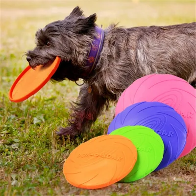 Rubber Dog Frisbee Pet Training Toy Rubber Dog Frisbee Pet Training Toy