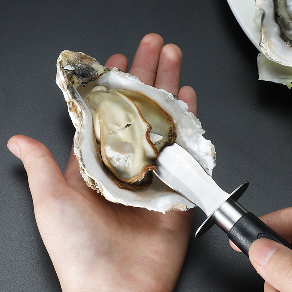 Scallop Knife Stainless Steel Opener Scallop Knife Stainless Steel Opener
