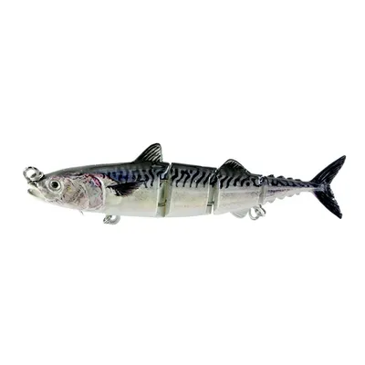 Sea Bass Tuna Lure Sea Bass Tuna Lure