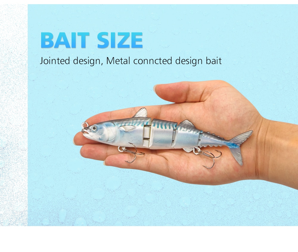 Sea Bass Tuna Lure Sea Bass Tuna Lure