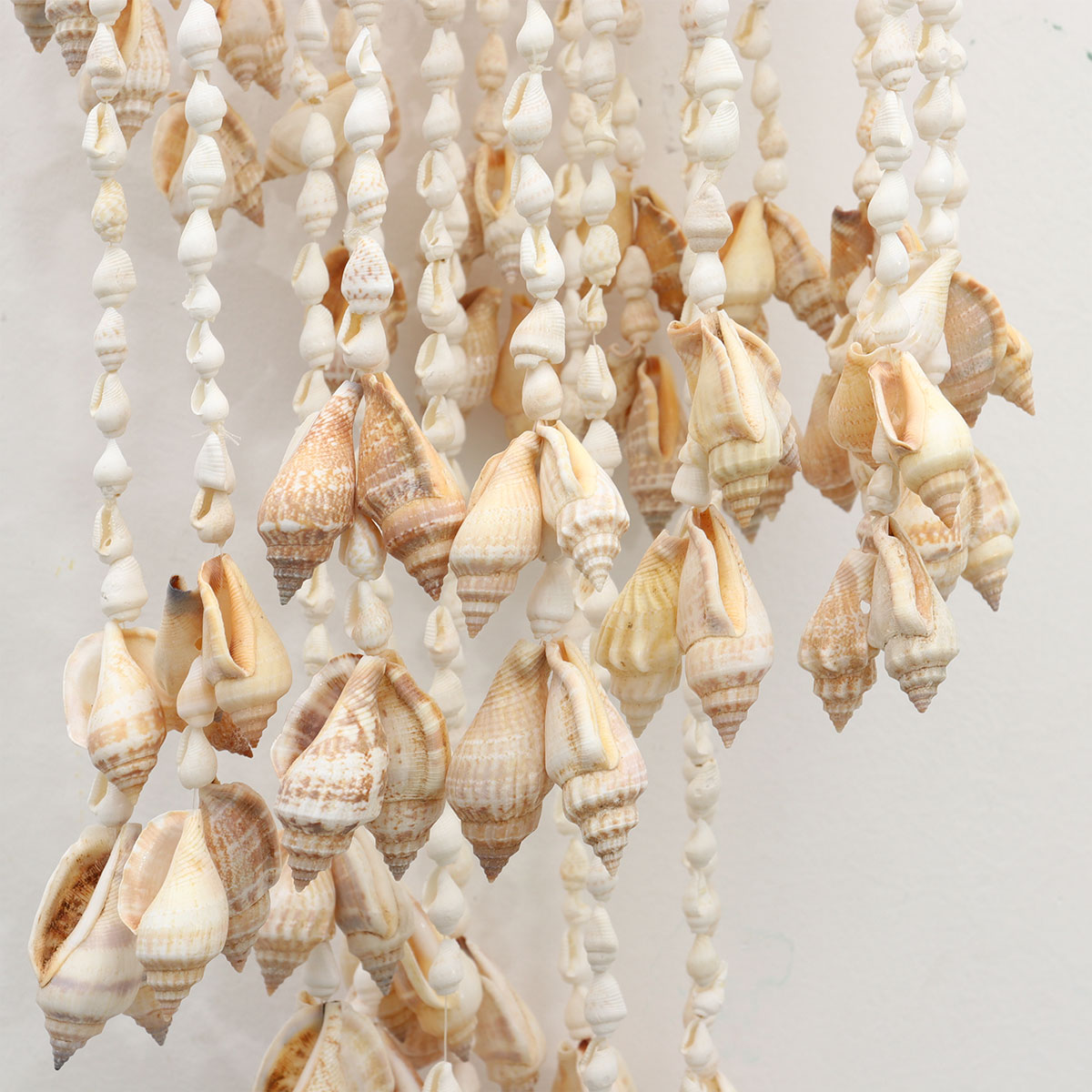 Sea Shell Wind Chime Sea Shell Wind Chime